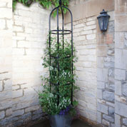 Obélisque pour Plantes Grimpantes YORK - 220 cm